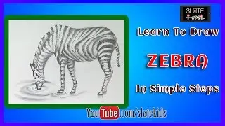 Easy Way To Draw Zebra | How To Draw Zebra By Using Colored Pencils | Slate Kids Exclusive