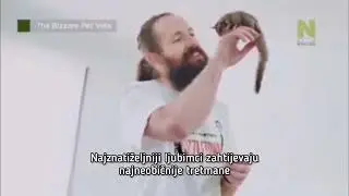 The Bizarre Pet Vets Starts CRO