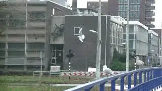 Kruising Plesmanlaan, Ottho Heldringstraat en Jacques Veltmanstraat.
