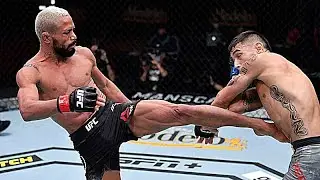 Confira resultados ufc 255 deiveson figueiredo vs alex perez valentina shevchenko vs jennifer maia