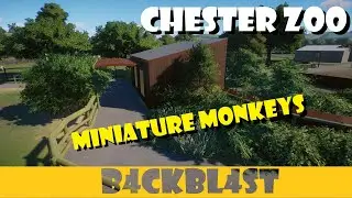 Chester Zoo - Miniature Monkeys in Planet Zoo