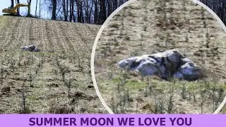 SUMMER MOON WELLS...