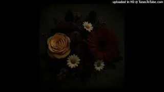 amir.pr0d + lunchbox type beat @lyfe0fm3