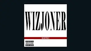 WIZJONER
