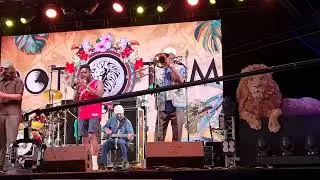 Festival Memories - Larry McDonald & The Skatalites - Rototom Sunsplash 2022 - Benicasim - Spain