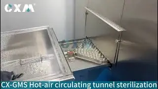 How Vials Are Sterilized in Pharma Production | Hot Air Circulating Tunnel Explained