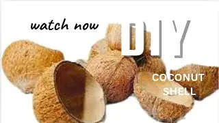 DIY Coconut Shell Craft#bestoutofwaste#wastematerialcraft#viral#viralvideo#trending#diy