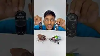 Remote wala cockroach