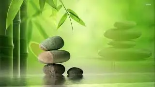 ☀️Healing yoga meditation music consort 🧘Healing yoga meditation music concert 🧘Dr. Yoga Meditation