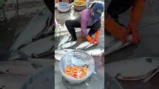 clean cuts and perfect technique on fresh mullet#freshcatch #knifemastery #foodreels