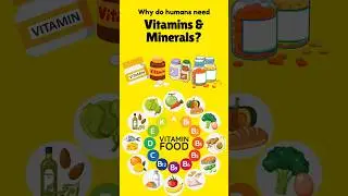 Why do we need vitamins and minerals? | Healthy & Strong | Kids Trivia | Learning Lessons