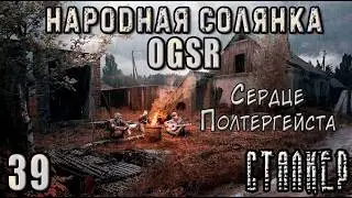 Бленд и Детёныш Псевдособаки - NS OGSR #39