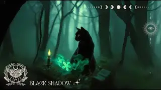 Black Shadow 🌙✨ A Pagan Tribute to all the Witch Cats