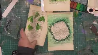 Toucan Stamp Set - Facebook Live