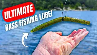 Is This the WORLDS BEST Bass Fishing Lure?!