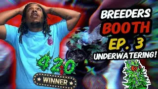 Breeders Booth S5 Ep. 3 | Under-watering!? | Veg Week 3 & 4