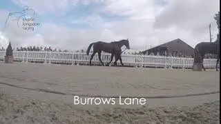Burrows Lane