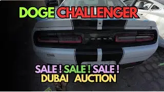 Dodge Challenger for Sale in UAE | American Muscle Car at Auction