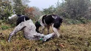 Un Dimanche &agrave; la chasse 2021 : escale &agrave; La Verpilli&egrave;re (38)