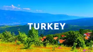 Exploring Nature in Turkey, GORGEOUS Forest, Fields, and Mountains!