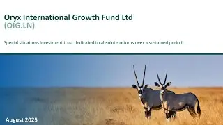 ORYX INTERNATIONAL GROWTH FUND LTD &mdash; Знакомство с Oryx International Growth Fund Ltd и его портфелем