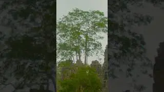 Ancient ruins of Angkor Wat, Siem Reap Cambodia Tour Jungle Ruins Travel Adventure