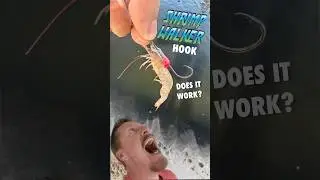 NEW Shrimp Hook Catches More Fish - iCAST 2025 Top Fishing Products #fishing #icast2025