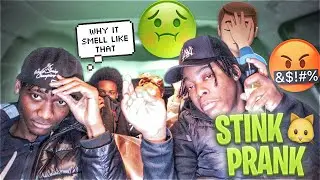 We Told These Girls They &ldquo;🐱&rdquo; Stinks And This Happened&hellip;.. 🤭