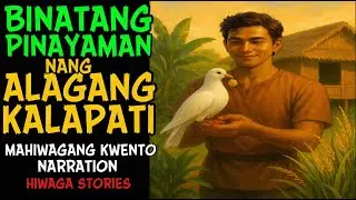 BINATANG PINAYAMAN NG KALAPATING NAGDADALA NG GINTO | True Story