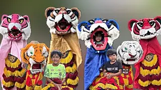 ANEH TAPI NYATA GAES SEMUA BARONGAN MACAN WARNA WARNI BISA MANJAT POHON MANGGA SAMPING RUMAH