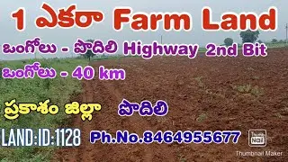 1 ACRE OF FARM LAND FOR SALE. PRAKASAM DT. PODILI (AP). PH. NO. 8464955677.LAND:ID:1128