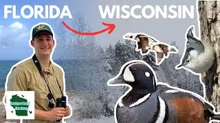 A Florida Birder Came to Wisconsin to Bird With Us! Here's What Happened...