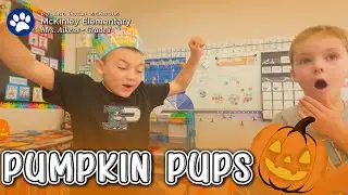 Pumpkin Pups - First graders practice science and math with pumpkins #teacher #school #elementary
