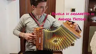 SCUOLA DI ORGANETTO DI ANDREA TASSONI 
