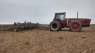 Digging it up