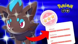 I CAUGHT a HUNDO ZORUA, Here's HOW!
