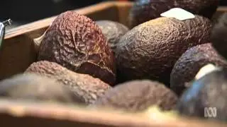 Catalyst Episode - Low Carb Diet: Fat or Fiction