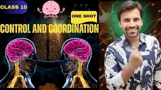 Control and Coordination Class 10| Science Chapter 7 One Shot| Complete Concepts+Important Question