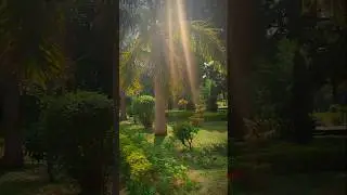 Garden🪻🌿Of Ranchi Veterinary College ⚕️