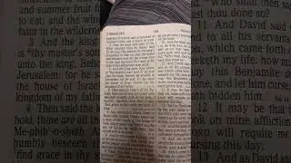 2 Samuel 16