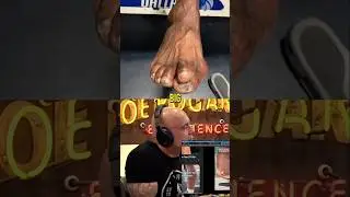 Joe Rogan Reacts To LeBrons feet