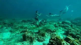 The way of water marriage proposal underwater dive
