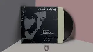 Ferdi Tayfur - Deli Gönül Özel Satılamaz yazılı plak kaydı (003ismail)