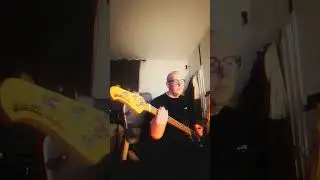 TOTORRO - Bernard Guez 🎸🇫🇷 #bass #cover #musicman #stingray  #guitar #groove #musician @T6T6RR6