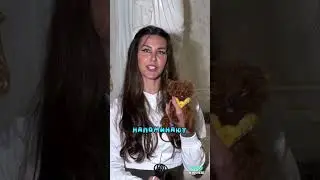 Самые Миниатюрные Собаки Которые Помещаются В Чашку Чая❤️
