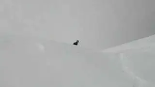 Matts Windlip Drop