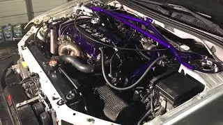 Evo 8 Buschur Stage 2 Trans and Exedy Twin Disc Install