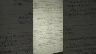 ANIMAL KINGDOM SHORT NOTES BEFORE EXAMS ✌ very helpfull