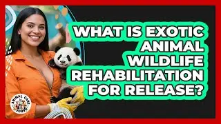 What Is Exotic Animal Wildlife Rehabilitation For Release? - Animal Care Jobs