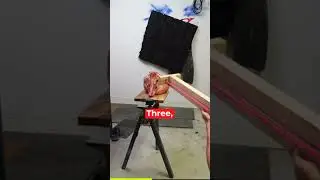 PIG AMERICAN GOT SHOT 😱